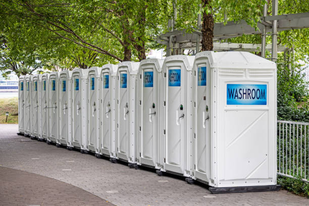 Affordable portable toilet rental in Limestone, IL